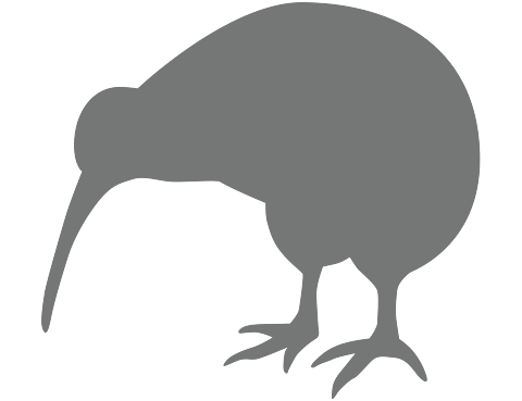 Clipart - A kiwi