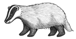 Badger (6652 bytes)