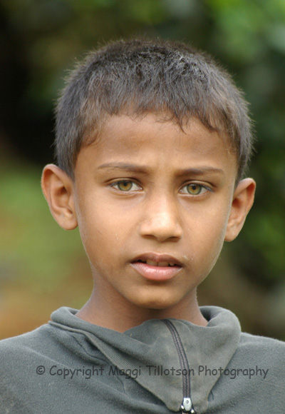 Sri Lankan Tea Boy