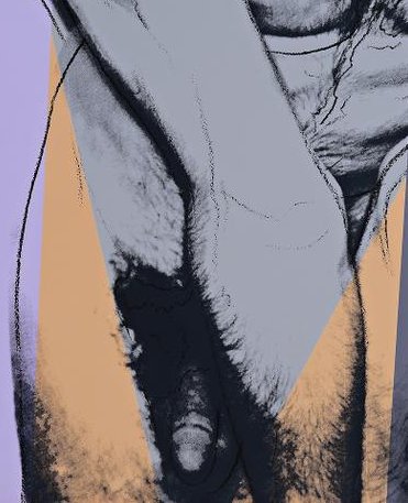 Warhol torso