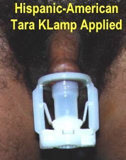 Tara KLamp being worn (17,536 bytes)